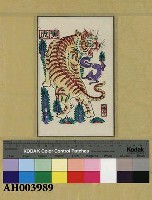 藏品(十二生肖之「寅虎」)的圖片